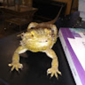 Meet your Posher, Mary